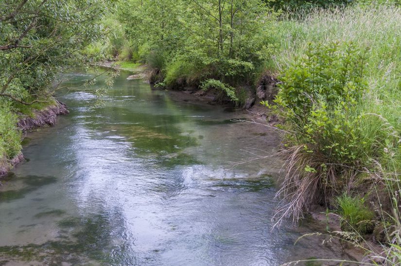 Nebenarm der Pader im Bereich Westfalenkolleg