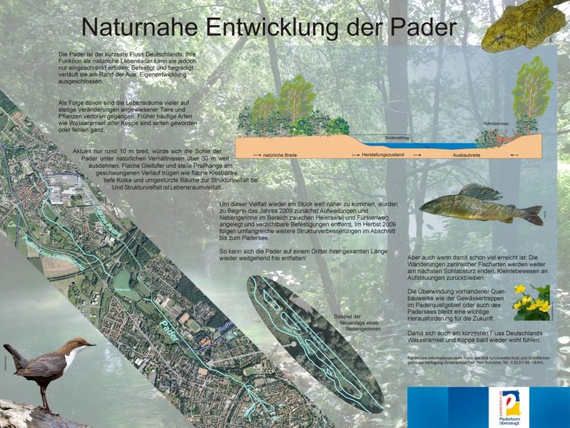 Naturnahe Entwicklung der Pader