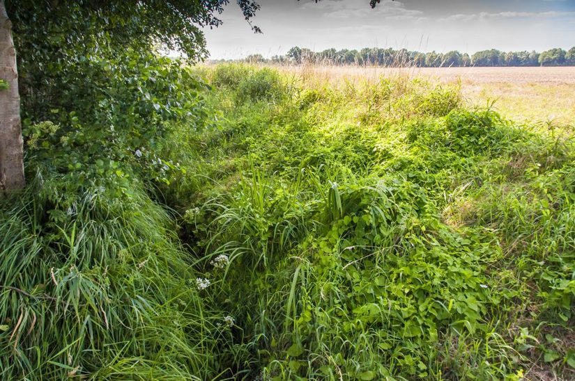 Oftmals tief eingeschnitten - der Roter Bach