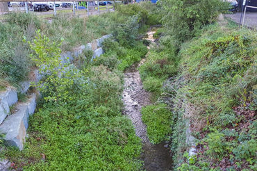 Rothebachprofil an der Detmolder Straße im September 2024