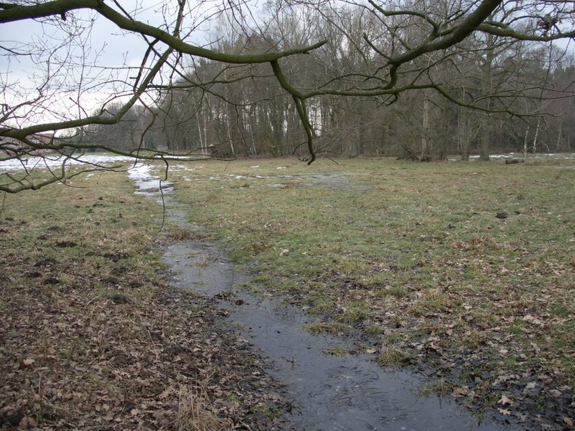 Im Grünland, der Rottberger Wiesenbach