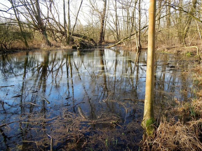 Quellbecken des Tausendquells