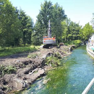 Die Vegetation wird entfernt, die meisten Gehölze können aber erhalten werden.