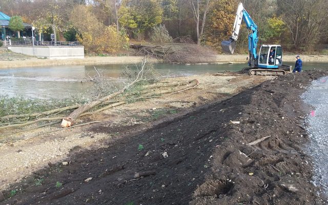 Einbau von zusätzlichem Totholz im Uferbereich der Pader