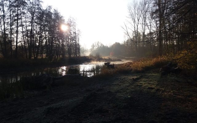 Morgennebel auf der Pader im Bereich des 2. Bauabschnittes