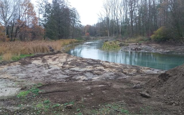 Abgeflachte Uferbereiche im direkten Paderumfeld