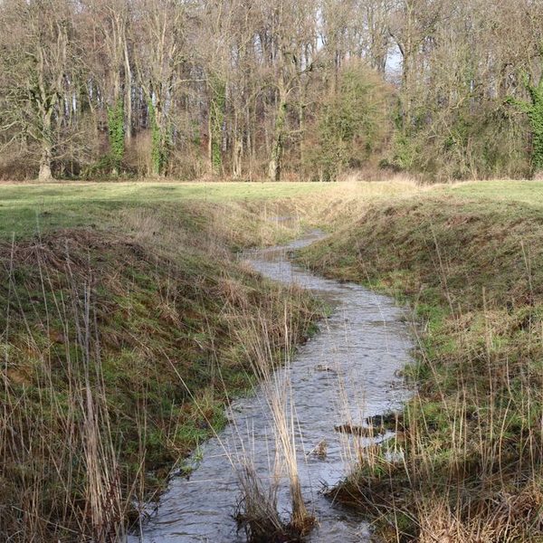 Neuprofilierung am Kleehof