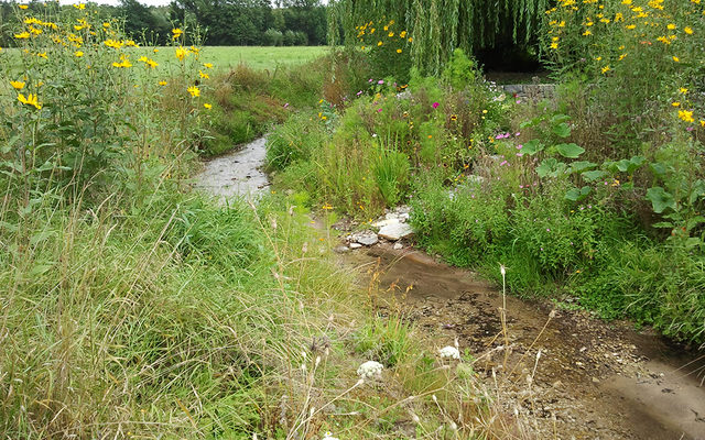 Marienloher Graben (Paderborn-Marienloh)