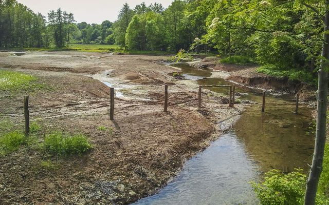 Beke vor ihrer Mündung (Niedrigwasser, Sommer)