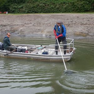 Befischung der Restwasserflächen des Padersees