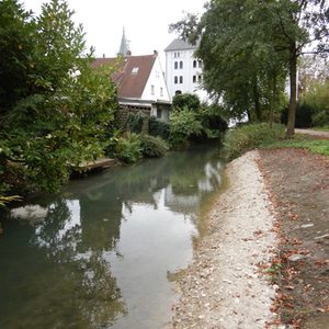 Bauarbeiten an der Börnepader machen eine Abfischung erforderlich.