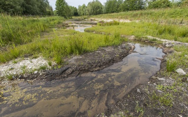 Unterschiedliche Substrate prägen die Jothe - Kiese, Sande und eine Besonderheit auch Torf.