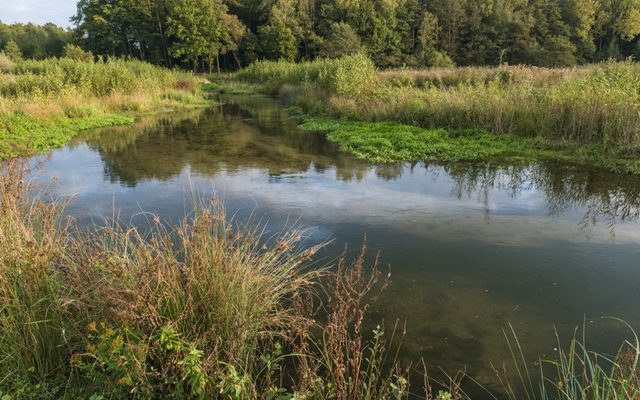 Lippe (Tallehof bei Marienloh)