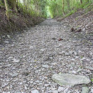 grobe Schotter - das Karstgewässer Krumme-Grund-Bach