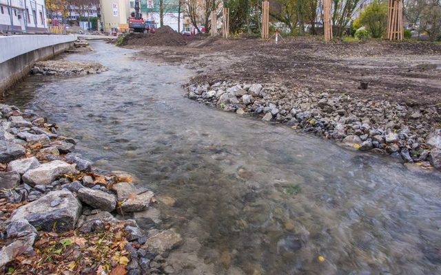 Unterschiedliche Strukturen bieten Lebensraum.