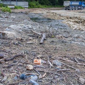 Schwemmgut im abgetrennten Padersee