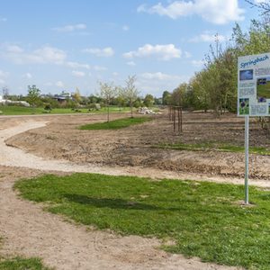 Kurz nach Umsetzung - die Vegetation wird sich schnell entwickeln!