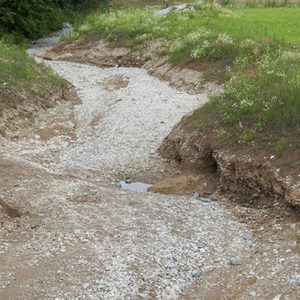 dynamische Sohle mit flachen Ufern und steilen Hängen