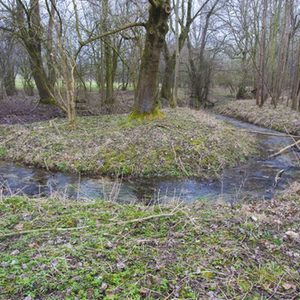 Nebenrinne - der Altverlauf wird mit einer Plombe und Totholz verschlossen, sodass das Wasser in die Nebenrinnen geleitet wird