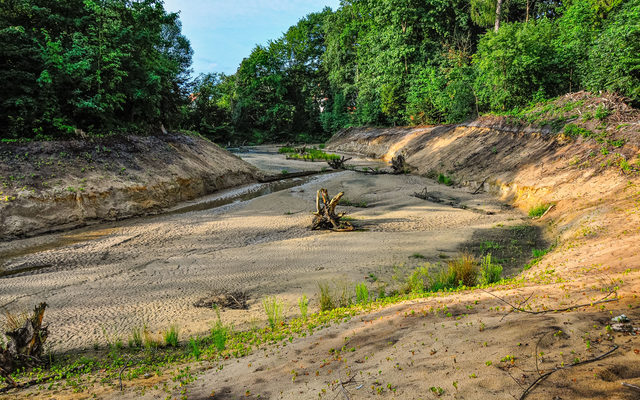 Umgestaltungsabschnitt oberhalb Hubertusweg 2023