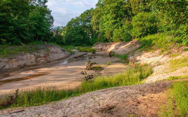 Umgestaltungsabschnitt oberhalb Hubertusweg 2024