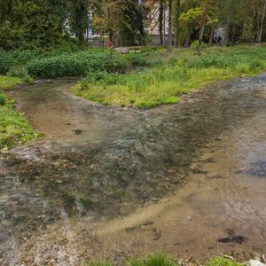 Dielenpader und Abzweig zur Rothobornpader