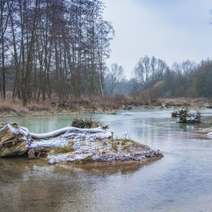 Neue Pader - winterliche Eindrücke