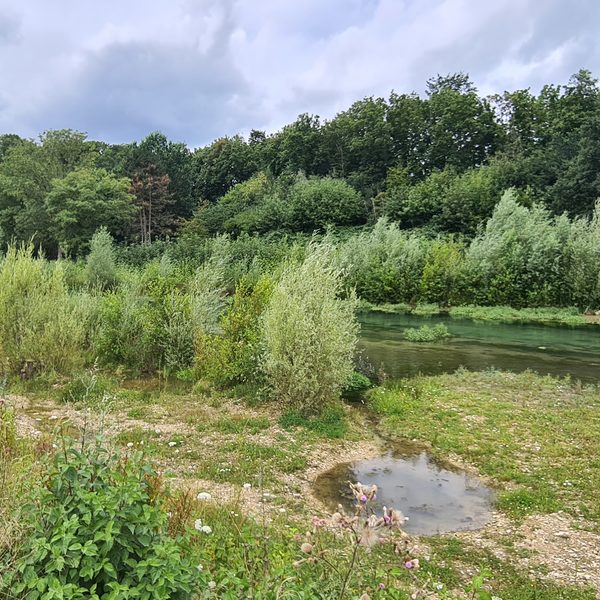 Paderseeumflut - in den Vertiefungen hält sich Paderwasser nach den Überschwemmungen, auf den trocken gefallenen Uferbereichen wachsen die Pflanzen