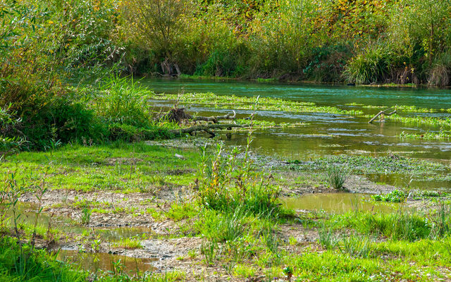 Wasserwechselzone