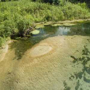 feine Sande haben sich zu einer Flachwasserzone mit amphibischen Bereichen