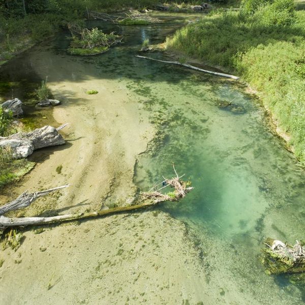 Tiefer Kolk und Flachwasserzonen in der neuen Pader