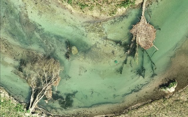 Treibgutansammlungen in den Kronen mit tiefer Fließrinne