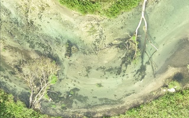 Abschnitt nach Abflussereignis ohne Treibgutansammlungen und mit geebneter Gewässersohle