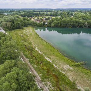 Pioniere - erster Vegetationsaufwuchs in der neu gestalteten Aue.