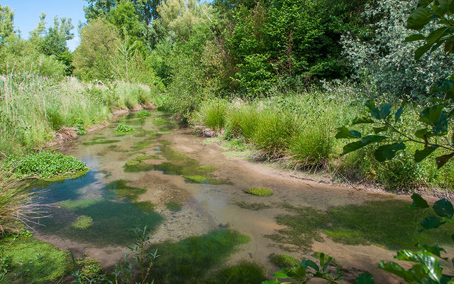 Pader (oberhalb Padersee)