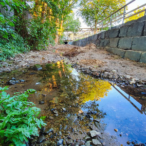 Die Sohle des Rothebaches weist nun wieder die typischen Sande und Kiese auf.