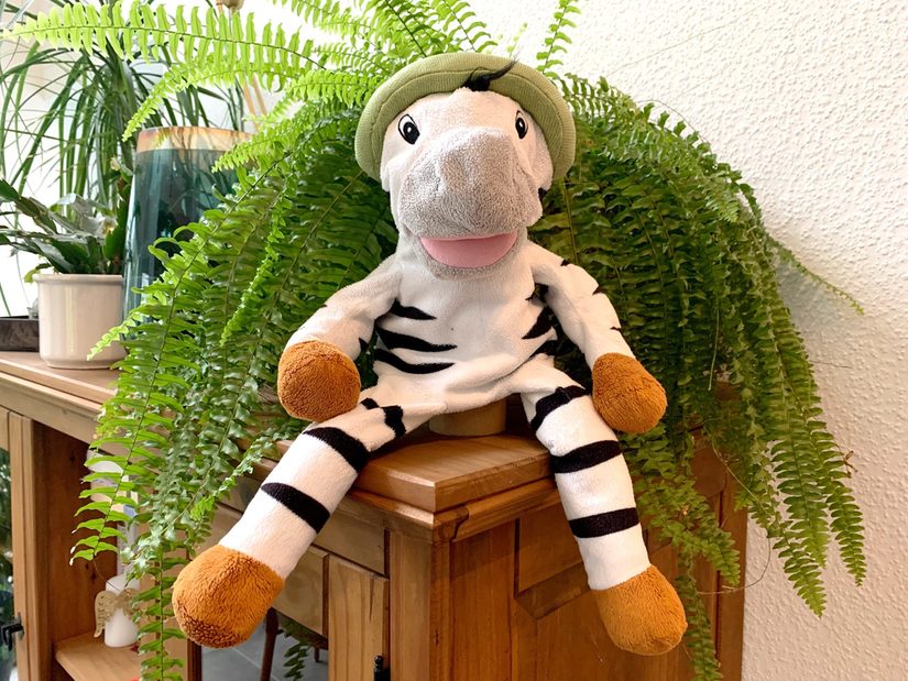 Zebraklasse