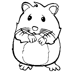 Hamster