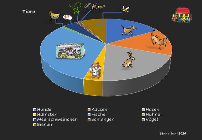 Kreisdiagramm