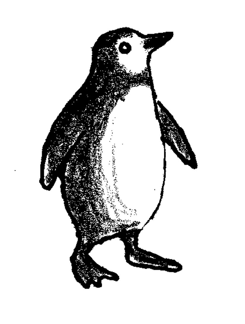 Eselspinguin