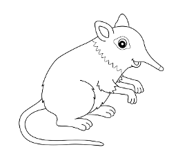 Elefantenmaus