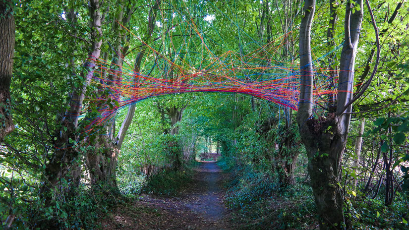 Waldweg über welchem ein Netz aus verschiedenen bunten Schnüren installiert ist.