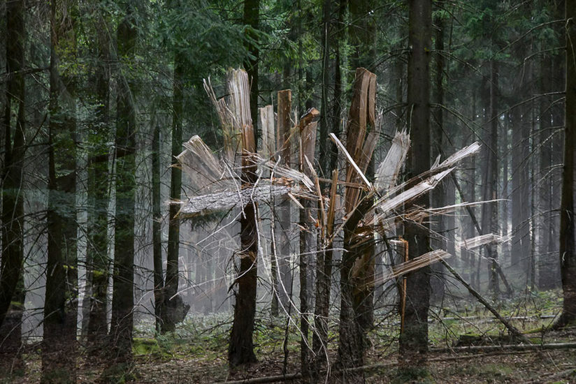 Die Aussicht ist ja grandios, Digitalfotografie, 2020