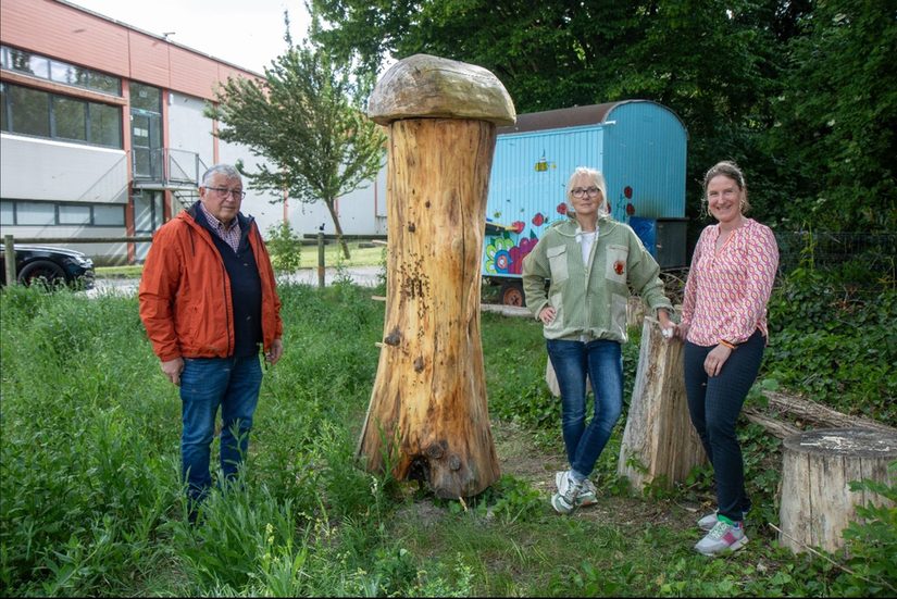 Die Akteure an der Klotzbeute