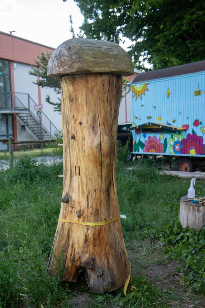 Die Klotzbeute auf der Blühwiese am Naturkundemuseum