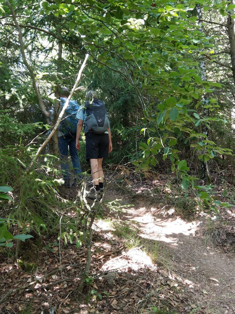 Unterwegs auf dem Urwaldsteig