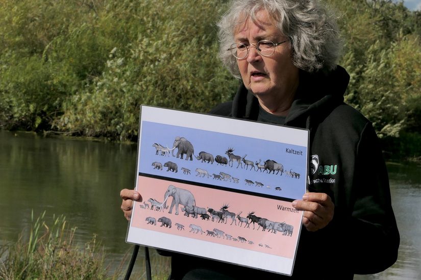 Das Foto zeigt Dr. Margret Bunzel-Drüke bei ihren Erläuterungen