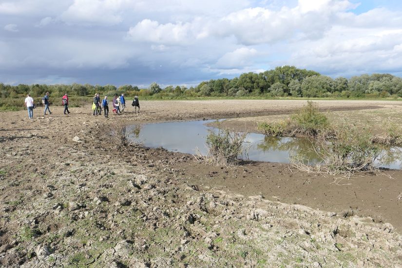 Bachlauf in der Klostermersch