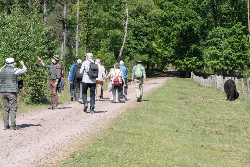 Teilnehmer in der Wistinghauser Senne