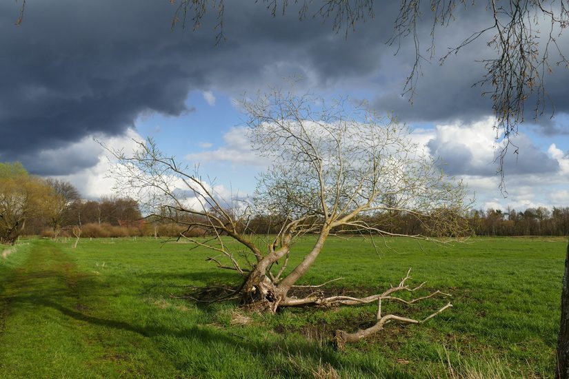 Feuchtwiesenlandschaft bei Rietberg